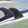 FCS II Album Twin+1 Fin Set